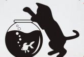 Adesivo Gatinho no Aquário