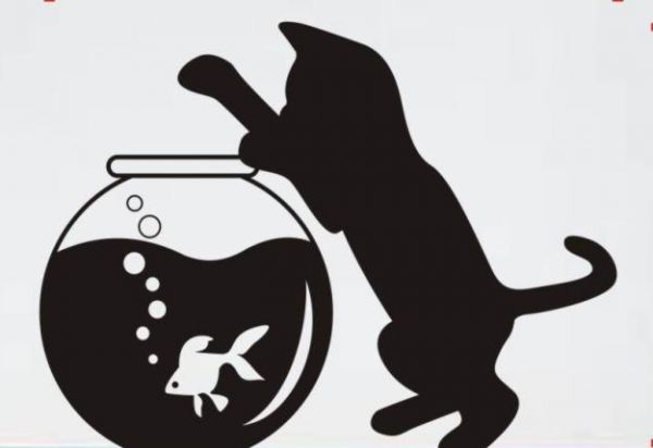 Adesivo Gatinho no Aquário